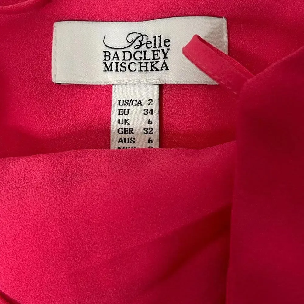 Badgley Mischka l Pink Cross Back Maxi Gown Size 2 - Picture 7 of 9